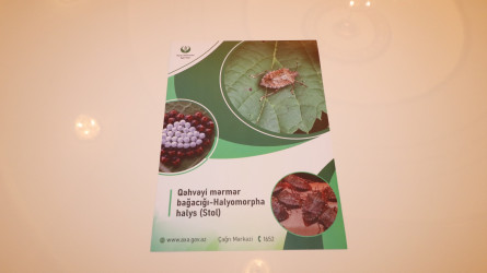 Qazaxda “Qəhvəyi mərmər bağacığına qarşı maarifləndirmə və mübarizə” mövzusunda tədbir keçirilib 26.02.2026