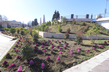 Qazax şəhəri Heydər Əliyev adına park - 04.03.2026