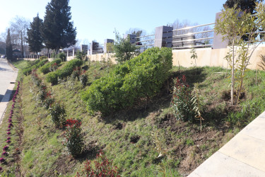 Qazax şəhəri Heydər Əliyev adına park - 04.03.2026