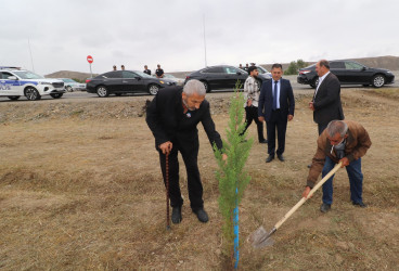 Qazaxda 27 Sentyabr - Anım Günü ilə əlaqədar Vətən müharibəsi şəhidlərinin xatirəsinə həsr olunmuş ağacəkmə aksiyası keçirilib 18.09.2025