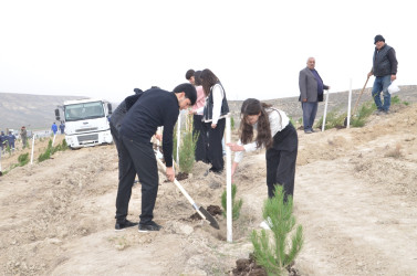 Qazaxda 8 Noyabr – Zəfər Gününün beşinci ildönümünə həsr olunmuş ağacəkmə aksiyası keçirilib 05.11.2025